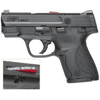 SW M&P9 SHIELD 9MM 3.1